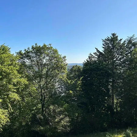 Altes Forsthaus Apartment Boppard